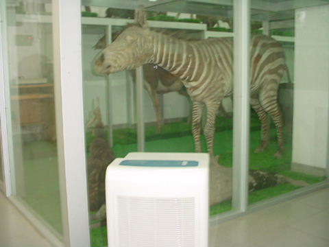 除濕機(jī)放在動物標(biāo)本陳列柜邊