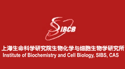 上海生命科學(xué)研究院生物化學(xué)與細(xì)胞生物學(xué)研究所購(gòu)置森井CH948B商用環(huán)保除濕機(jī)
